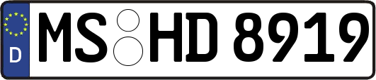 MS-HD8919