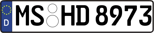 MS-HD8973