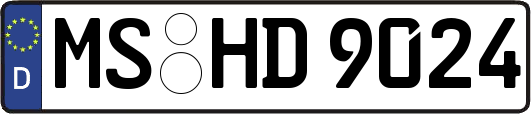MS-HD9024