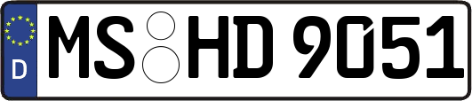 MS-HD9051