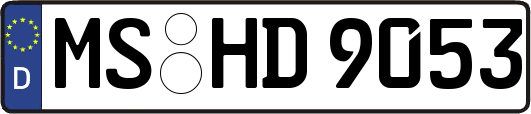 MS-HD9053