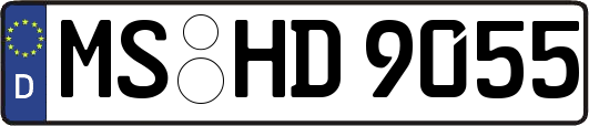 MS-HD9055
