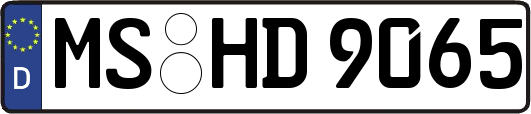 MS-HD9065