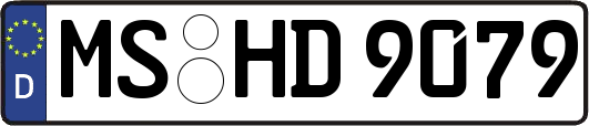 MS-HD9079
