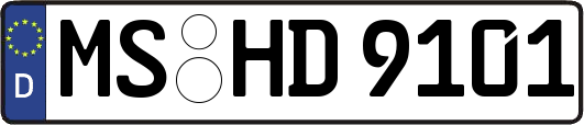 MS-HD9101