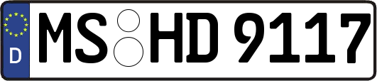 MS-HD9117