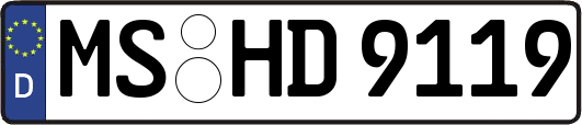 MS-HD9119