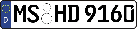 MS-HD9160