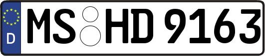 MS-HD9163