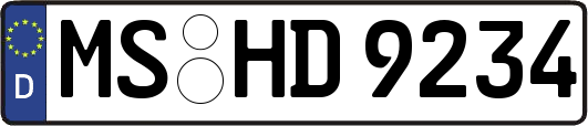 MS-HD9234