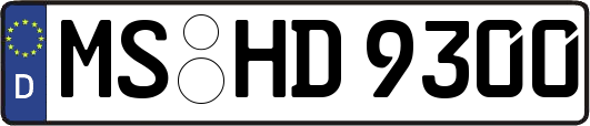 MS-HD9300