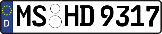 MS-HD9317