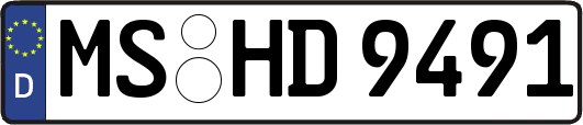 MS-HD9491