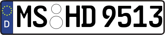 MS-HD9513