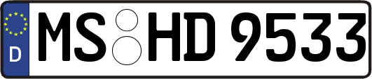 MS-HD9533