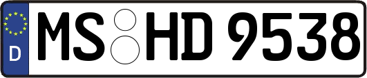 MS-HD9538