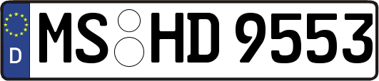 MS-HD9553