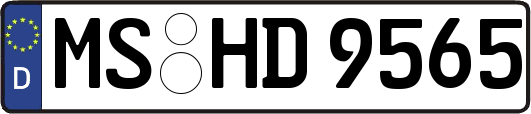 MS-HD9565