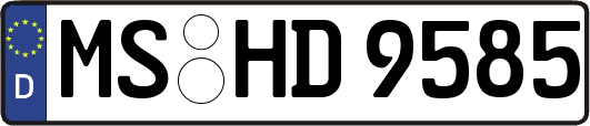 MS-HD9585