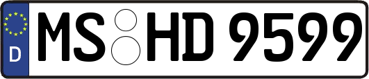 MS-HD9599