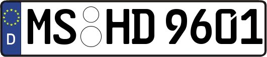 MS-HD9601