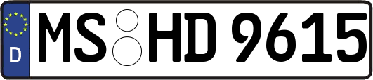 MS-HD9615