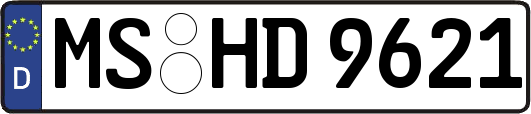 MS-HD9621