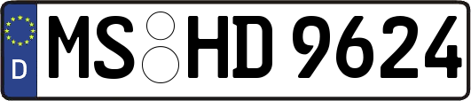 MS-HD9624