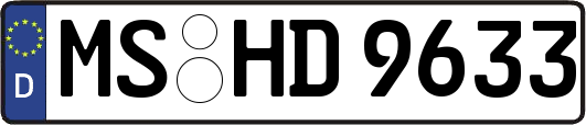 MS-HD9633