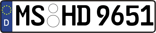 MS-HD9651