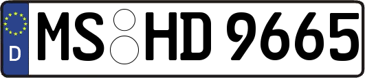 MS-HD9665