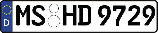 MS-HD9729