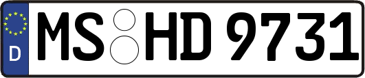 MS-HD9731