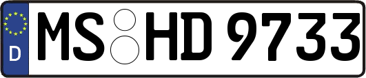 MS-HD9733