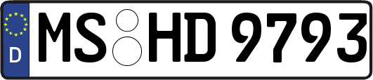 MS-HD9793