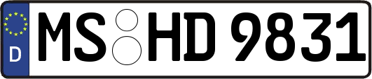 MS-HD9831