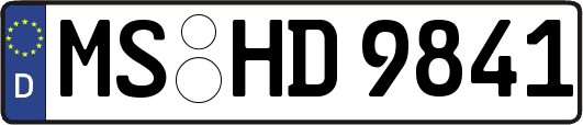MS-HD9841