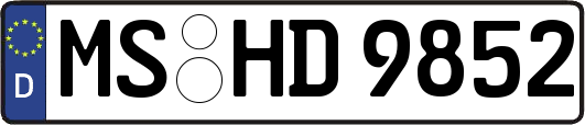 MS-HD9852