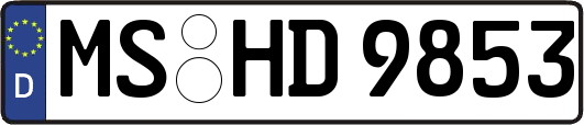 MS-HD9853