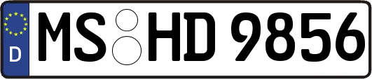 MS-HD9856