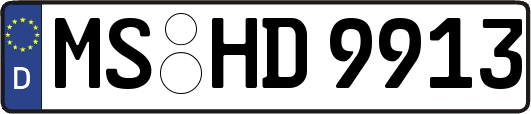 MS-HD9913