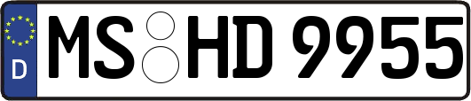 MS-HD9955