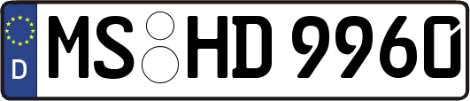 MS-HD9960