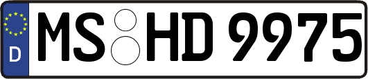 MS-HD9975