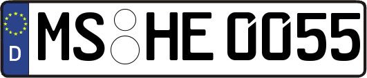 MS-HE0055