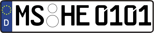 MS-HE0101