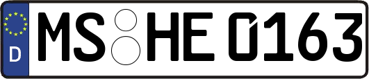 MS-HE0163