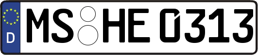 MS-HE0313