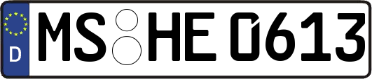 MS-HE0613