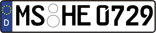 MS-HE0729